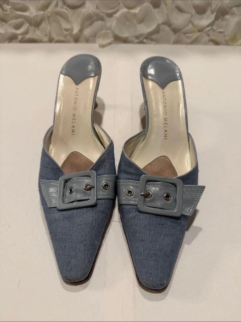 ANTONIO MELANI Dusty Blue Pointed Buckle Mules